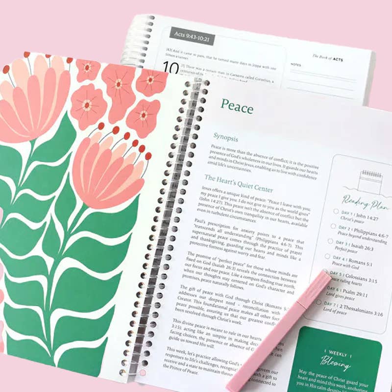 The Bible In A Year A 52-Week Journey Bible Notebook