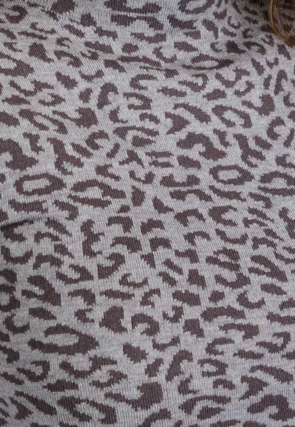 Jocelyn Leopard Long Sleeve Top