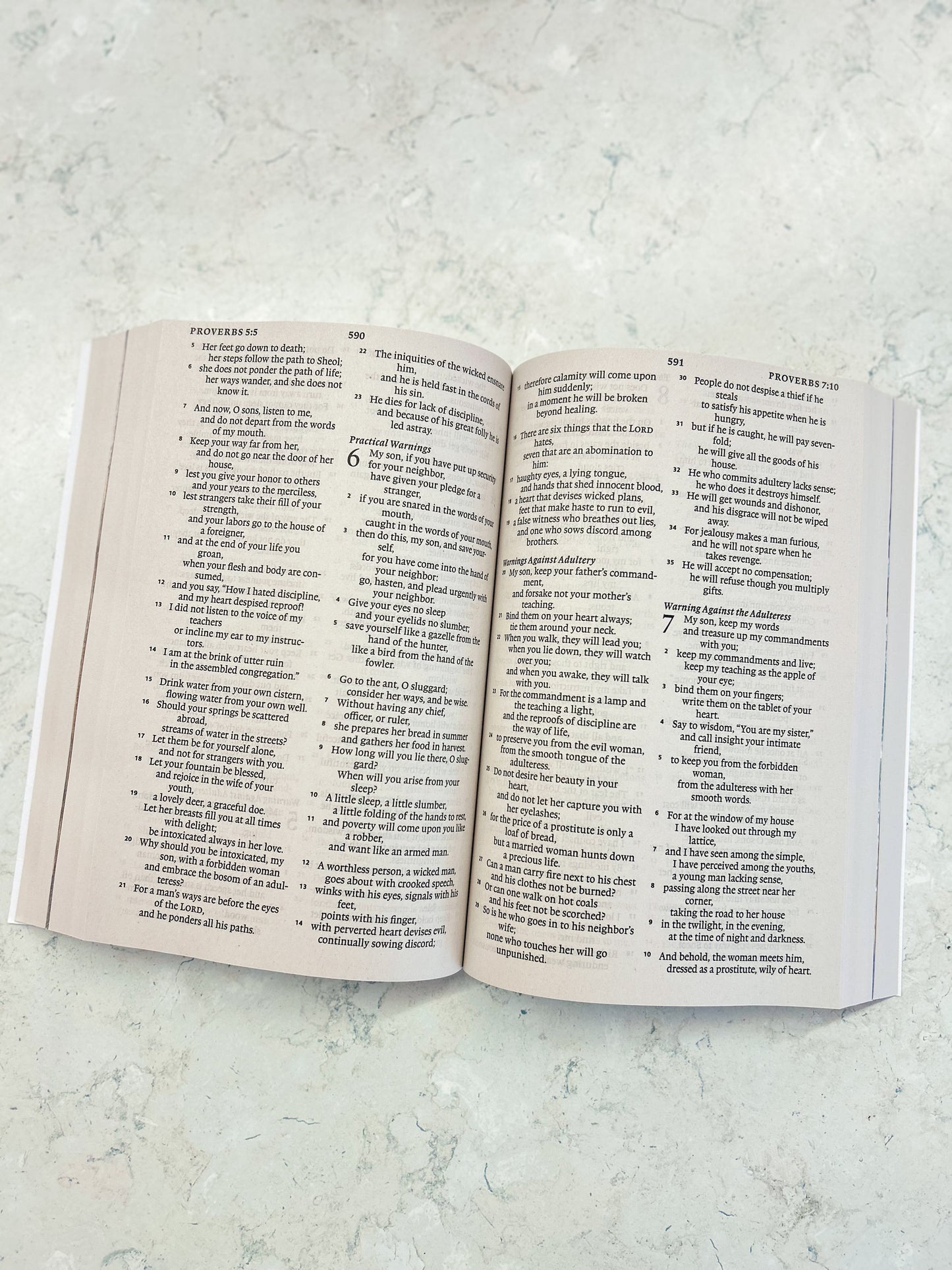 ESV Holy Bible For Kids
