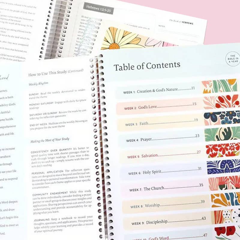 The Bible In A Year A 52-Week Journey Bible Notebook