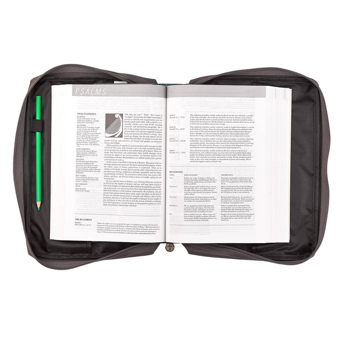 God's Love Bible Cover