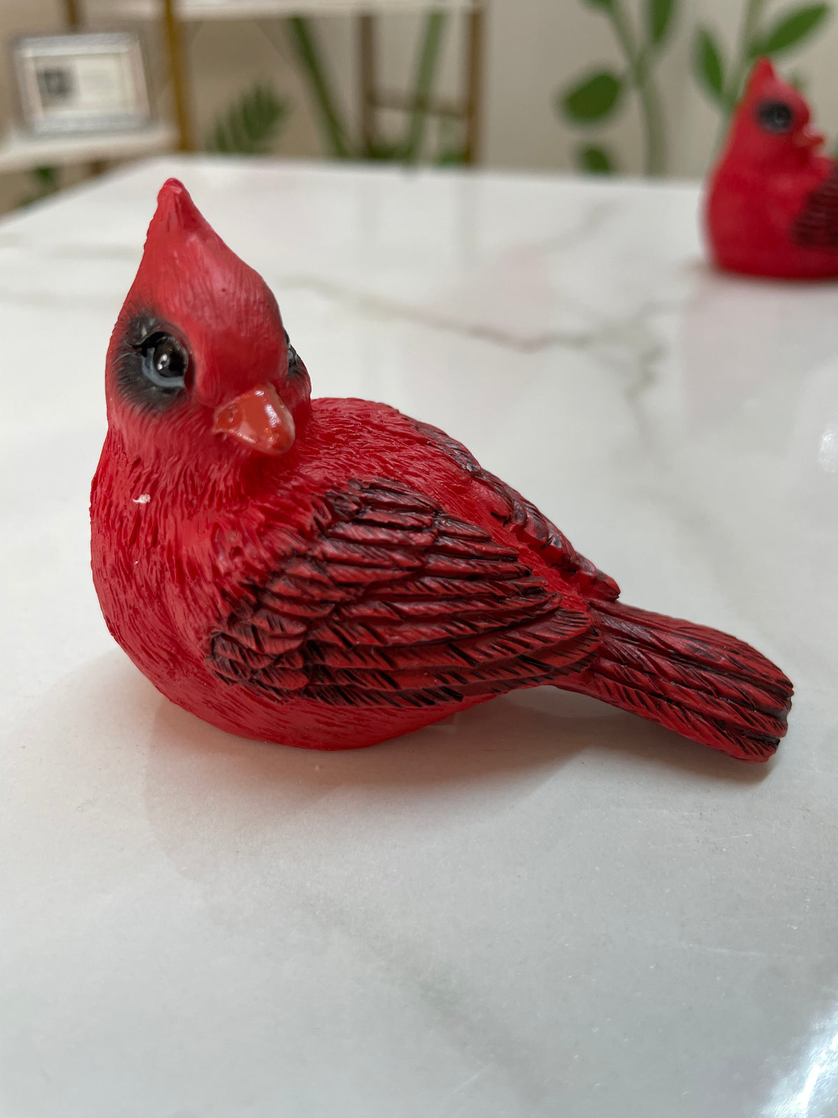 Mini Cardinal