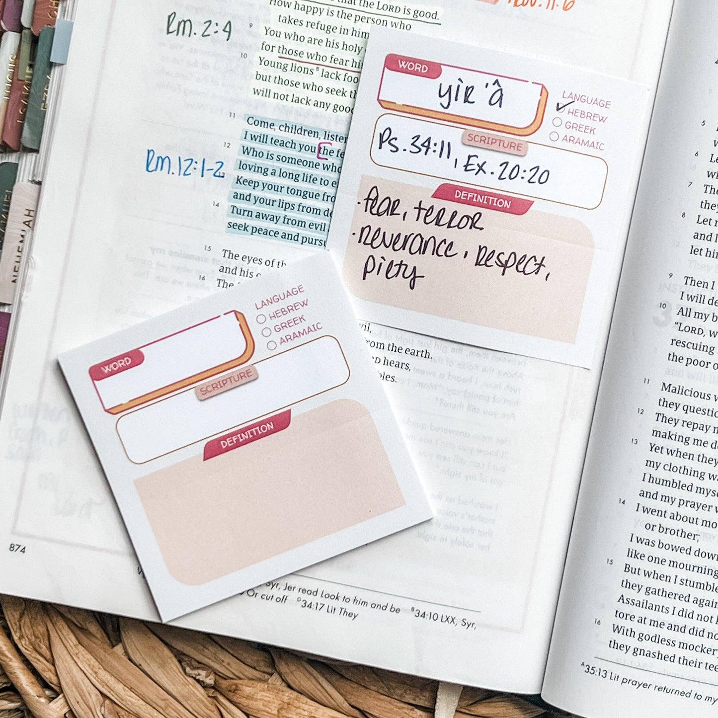 Pink & Beige - Bible Study Sticky Note Set