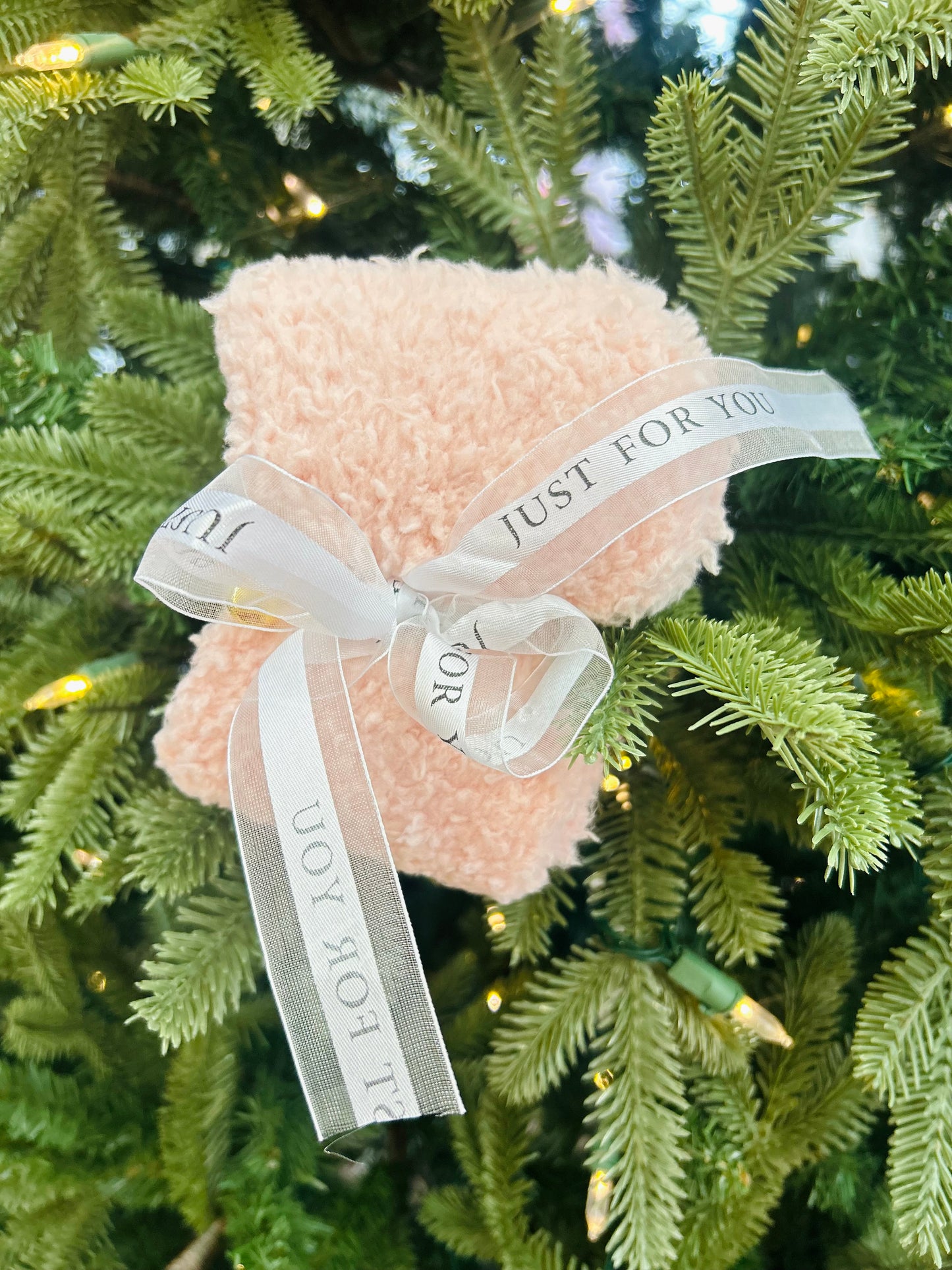 Holiday Cozy Socks Gift