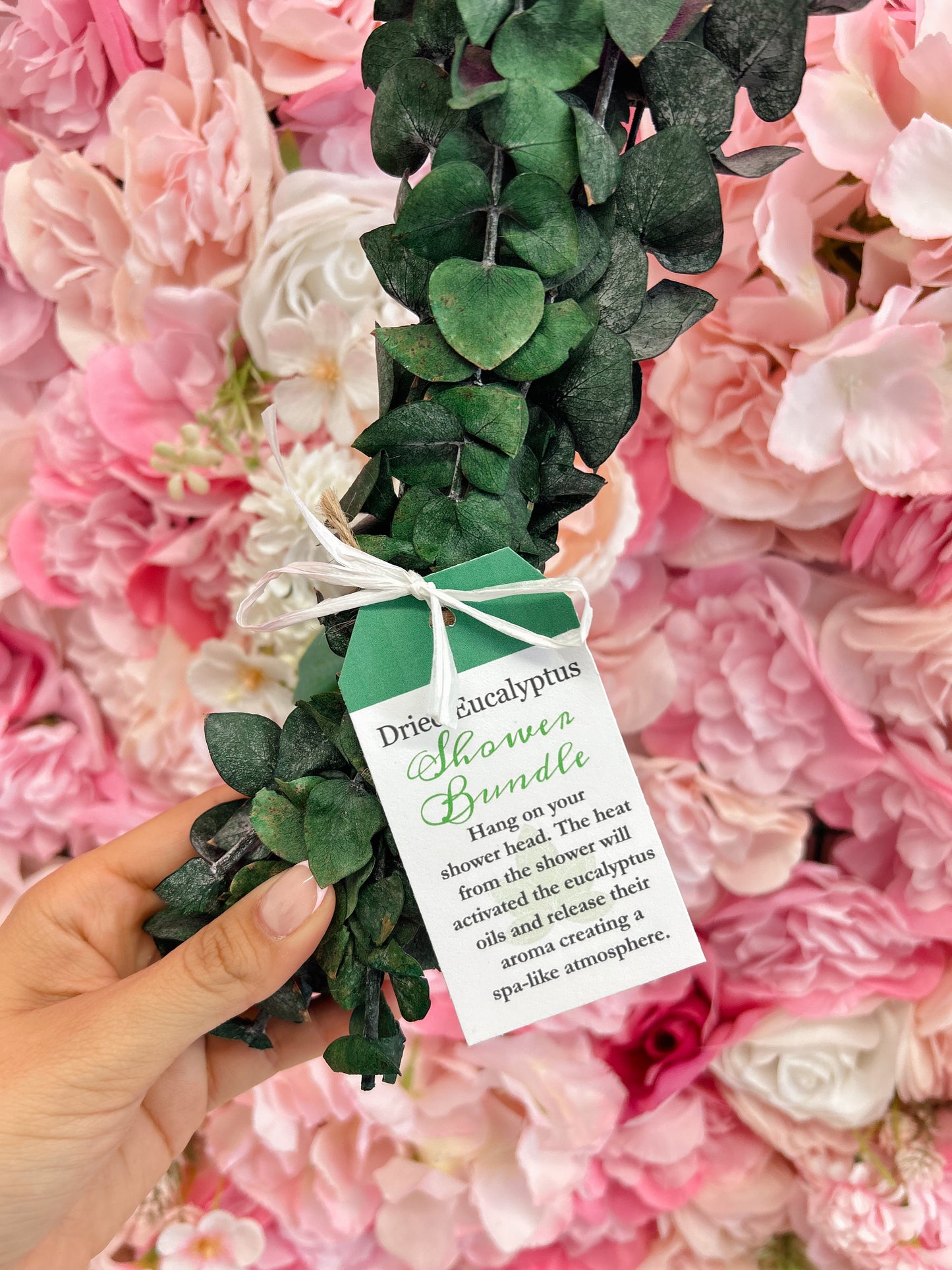 Dried Eucalyptus Shower Bundle