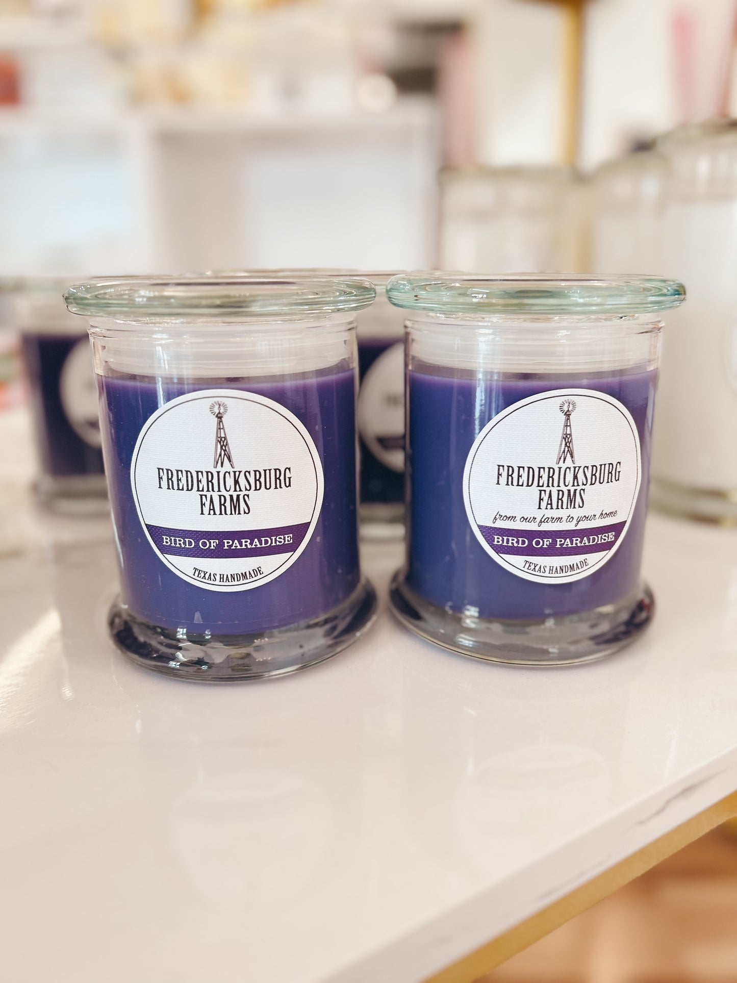 Fredericksburg 9oz Candle - Bird of Paradise