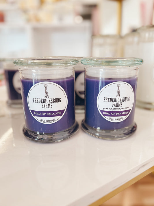 Fredericksburg 9oz Candle - Bird of Paradise