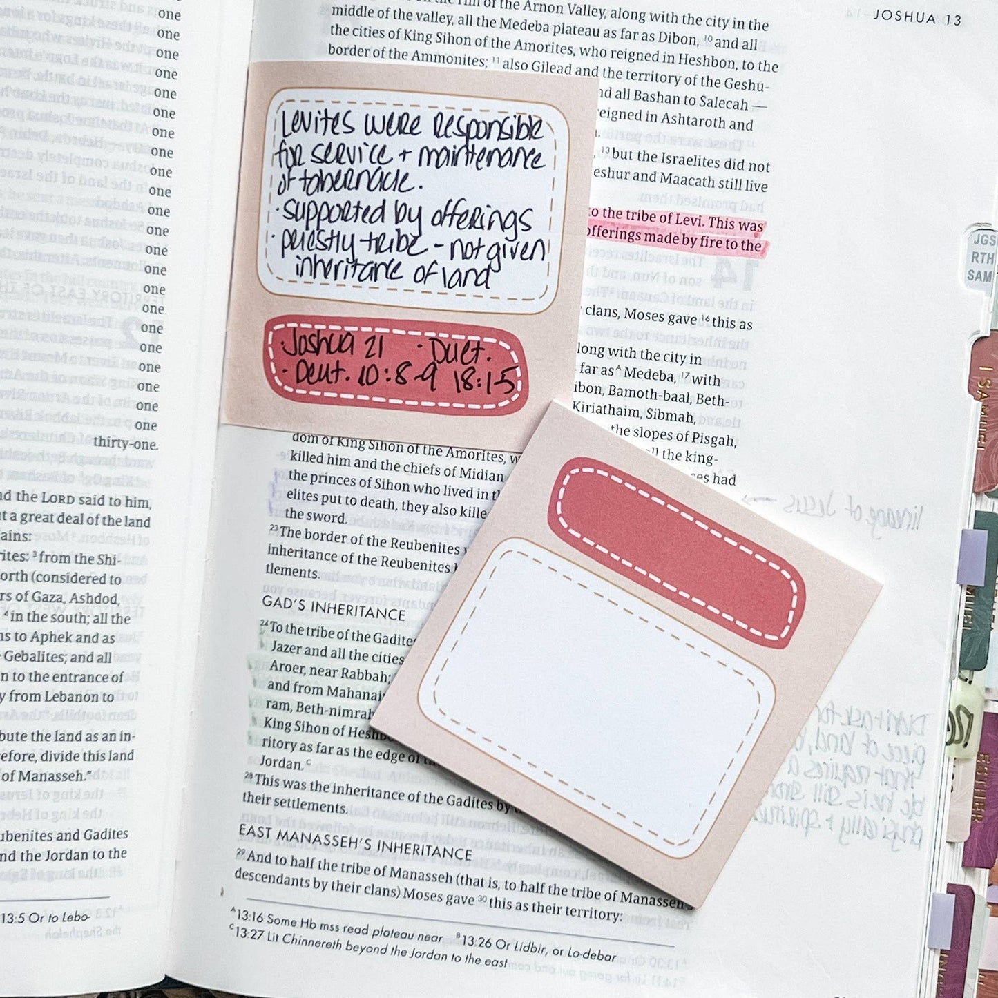 Pink & Beige - Bible Study Sticky Note Set