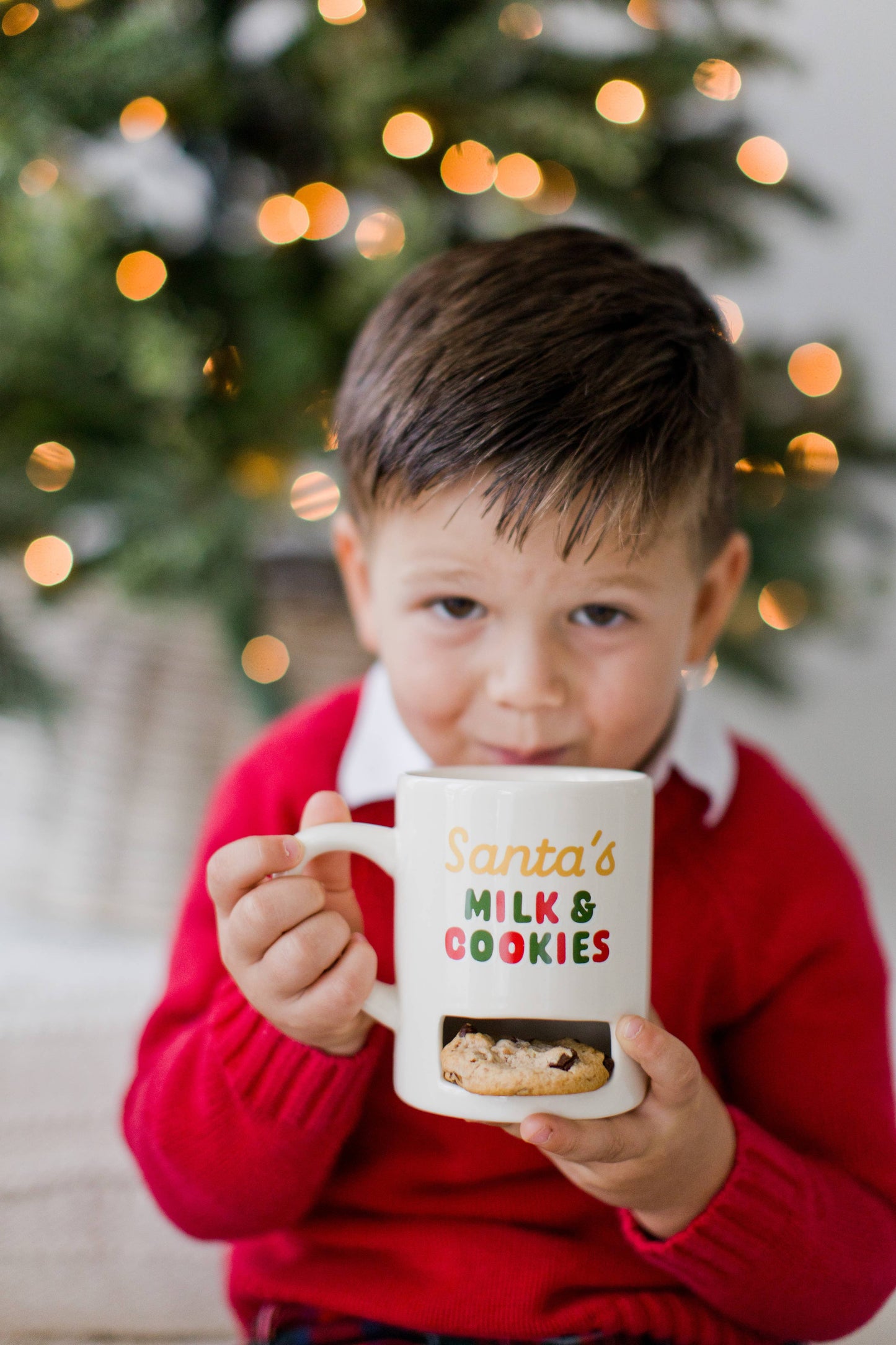 Santa’s Milk & Cookies Christmas Ceramic Mug